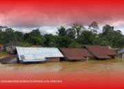 Banjir di Kapuas Rendam Rumah Hingga Sisakan Atap, Puluhan Warga Terpaksa Mengungsi